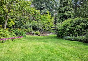 Optimiser l'expérience du jardin à Cauchy-à-la-Tour